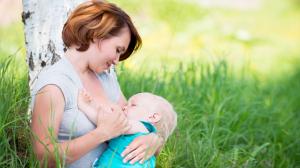 Грудное вскармливание — залог хорошего здоровья малыша