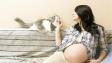 Токсоплазмоз и беременность